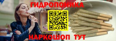 стаф Кандалакша