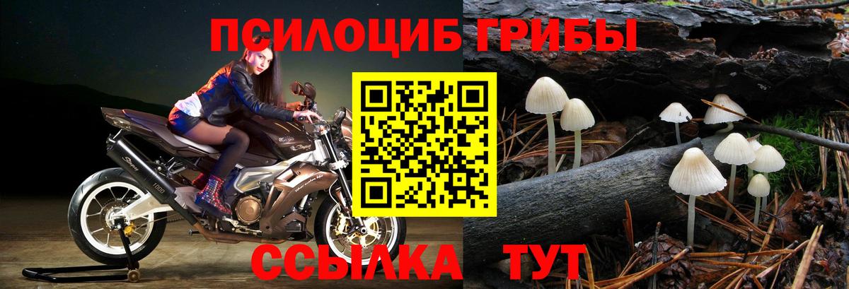 Кызыл  Галлюциногенные грибы Magic Shrooms  Вход с VPN 