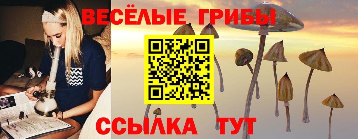 Галлюциногенные грибы Magic Shrooms Кызыл